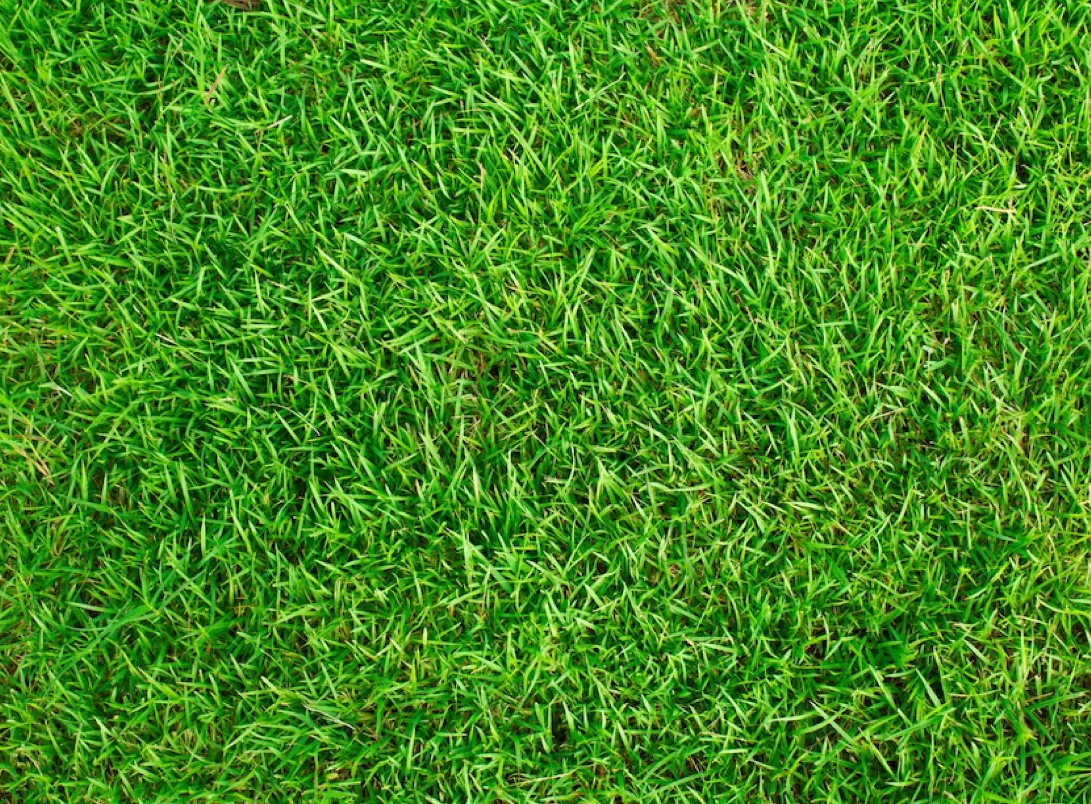 artificial-grass